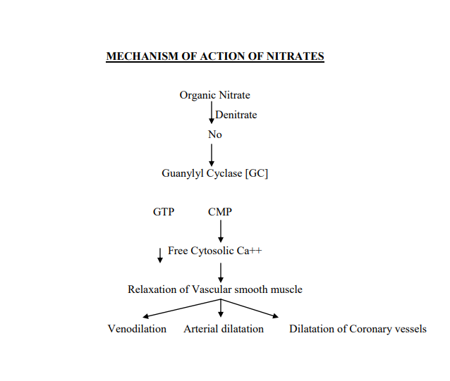 Mechanism of Action of Nitrates